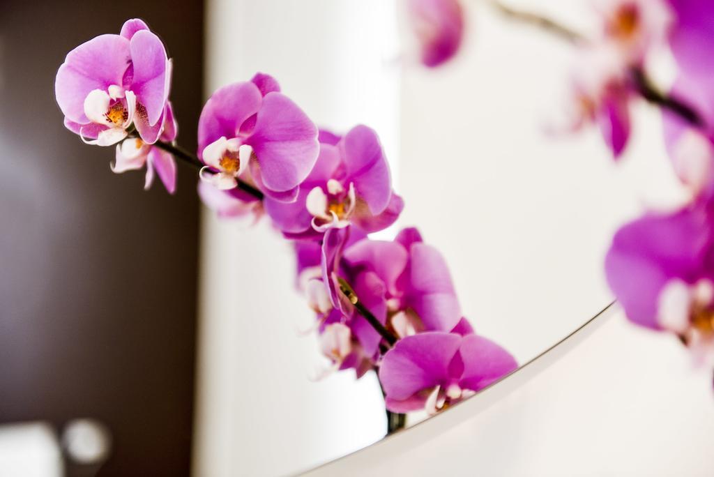 Brick House Treviso Apartment ภายนอก รูปภาพ